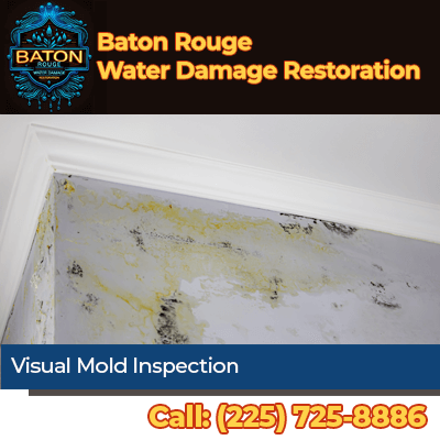 Mold Zero Baton Rouge